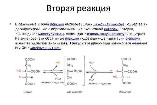 Купить гашиш через телеграм